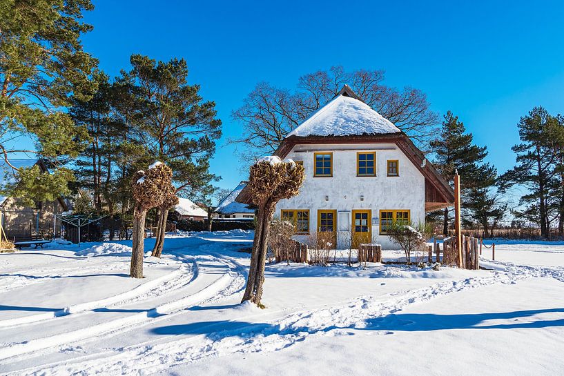 House on the Bodden in Wieck on the Fischland-Darß in winter by Rico Ködder