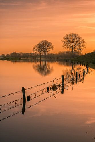 Reflectie in water