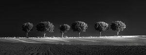 Geister der Natur