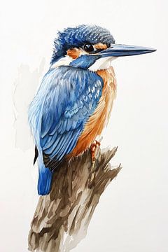 Kingfisher by Wall Wonder