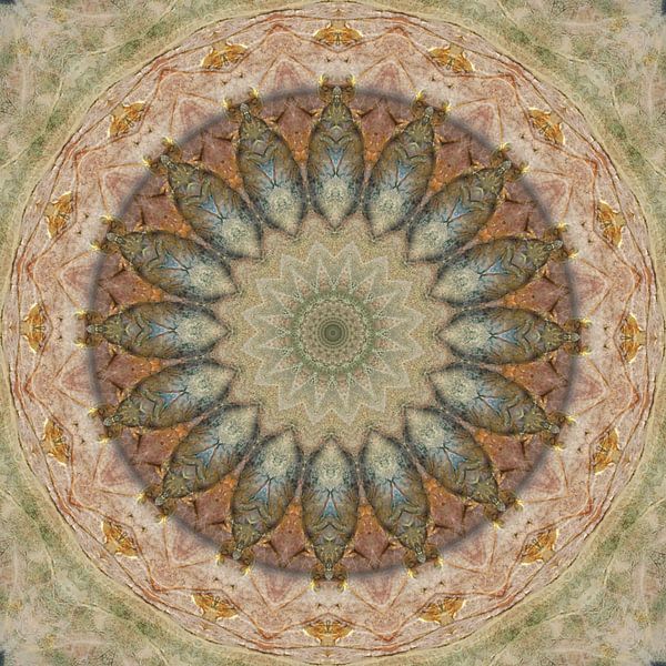 Mandala relaxation exercises by Christine Bässler