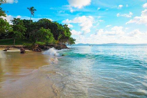 Caribische afbeeldingen behoren tot de populairste motieven voor muurschilderingen en fine art prints. De regio inspireert met zijn kristalheldere water, witte stranden, unieke kleuren en tropische natuur.