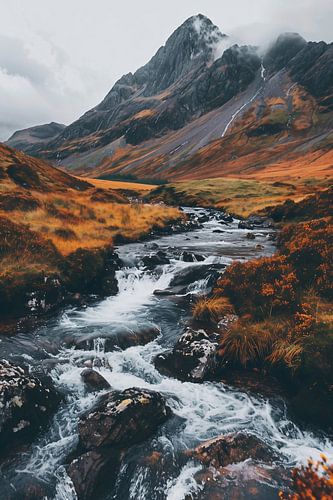 Morning magic on the path