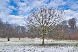 A thin layer by Henrico Fotografie