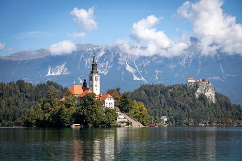 Bled Island