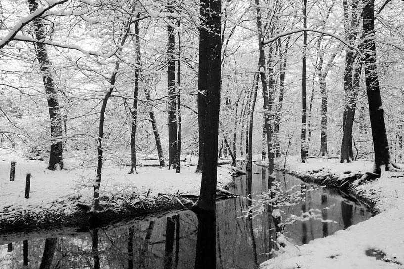Le ruisseau Hierden en hiver par Felix Sedney