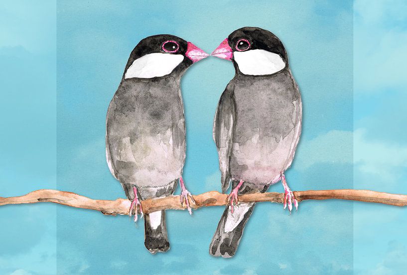 Zwei küssende Reisfinken von Bianca Wisseloo
