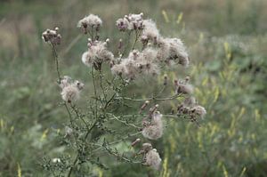 Flauschiges Beige-Rosa