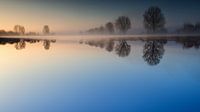 Reflections by Lex Schulte thumbnail