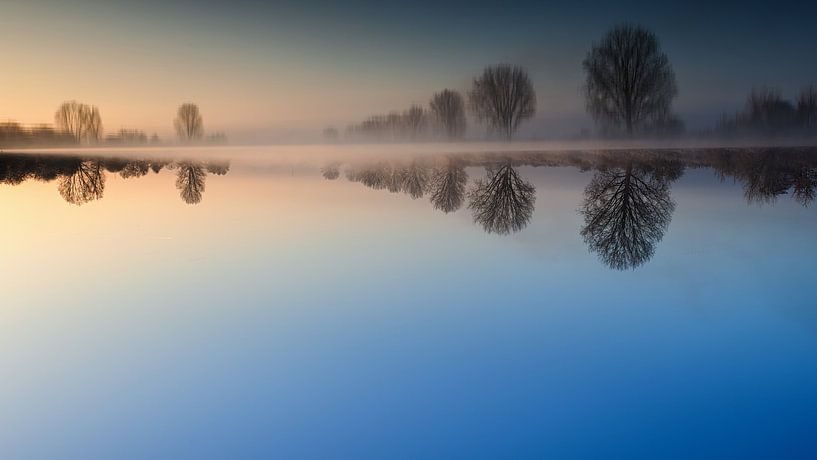 Reflections by Lex Schulte