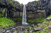 Iceland the Svartifoss waterfall