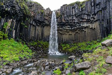 Island der Wasserfall Svartifoss von Henk Alblas