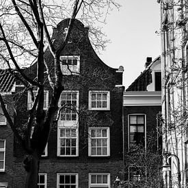 Herenhuis in de oude binnenstad van Zwolle, Nederland van Koen Lipman