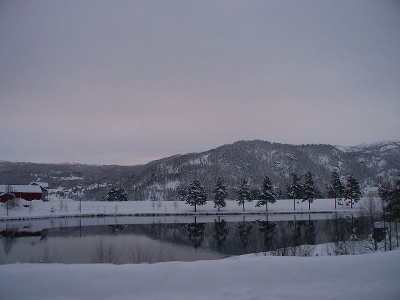 Winter  by Danielle van der Kolk