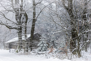Hütte im Winterwald
