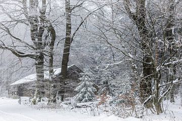 Hut in het winterbos van Jürgen Schmittdiel Photography