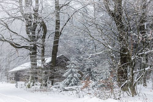 Hut in het winterbos