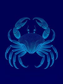 Illustration of an abstract Crab in blue by STUDIO ARTSY
