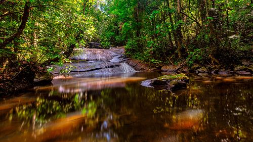 Kabalebo in Suriname