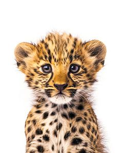 Baby-Leopard