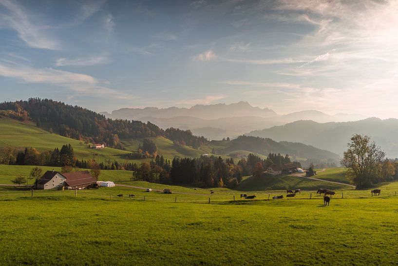 Appenzellerland with view of the Alpstein mountains and the Säntis mountain by Conny Pokorny