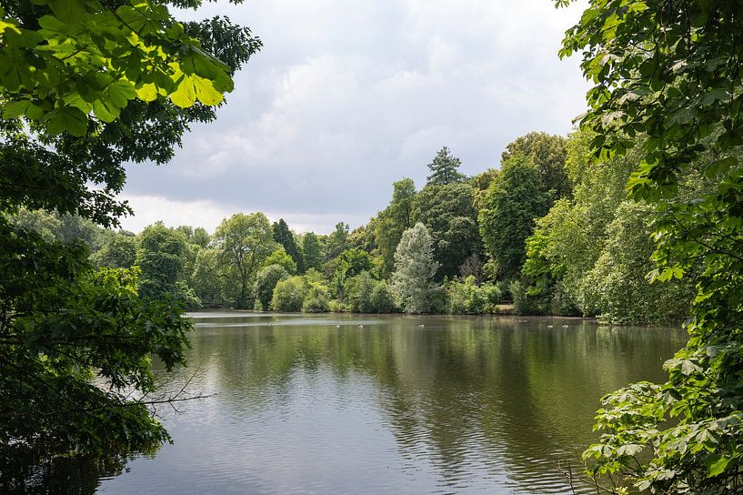 Rombergpark Dortmund by Richard Wareham
