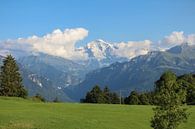 Blik op de Jungfrau. von van Veldhuisen Fotografie Miniaturansicht