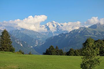 Blik op de Jungfrau. van van Veldhuisen Fotografie