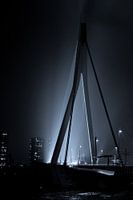 Erasmus Bridge in the rain
