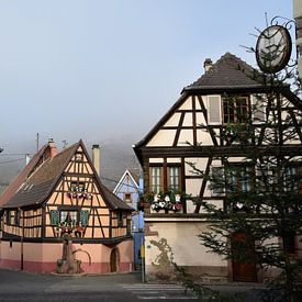 Niedermorschwihr van Miss Dee Photography