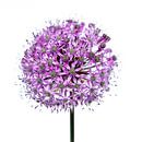 Purple flower - bulb by Noud de Greef thumbnail