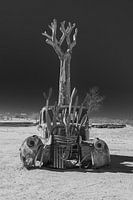 A car wreck in the desert.