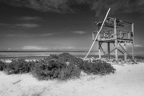 Beach on the island of Bonair in the Caribbean. Black and white image.