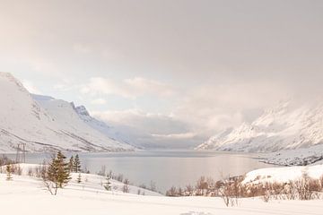 Besneeuwd Berg Landschap In Het Noorden Van Noorwegen van Henrike Schenk