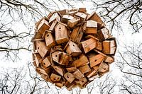 Bal van houten vogelhuisjes omgeven door boomtoppen