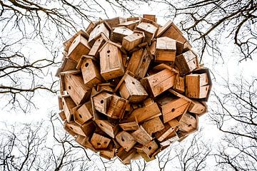 Bal van houten vogelhuisjes omgeven door boomtoppen van Andrea Gaitanides - Fotografie mit Leidenschaft