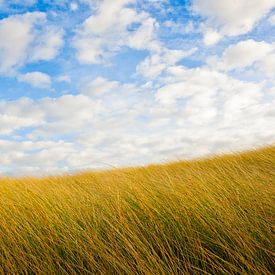 Duinen en Blauwe Luchten van Erwin Plug