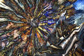 NAVIGARE IN SPE von Heidrun Carola Herrmann