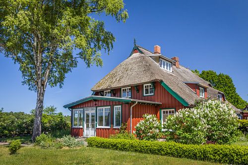 Historisch rieten huis in Prerow