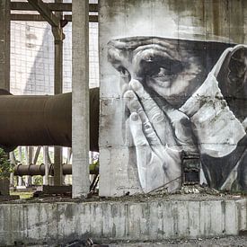 Cooling tower Chernobyl by Erwin Zwaan