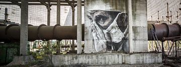 Koeltoren Tsjernobyl van Erwin Zwaan