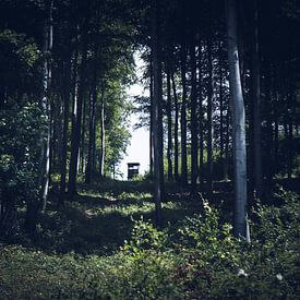 Jagershut in het bos van Suzanne Schoepe