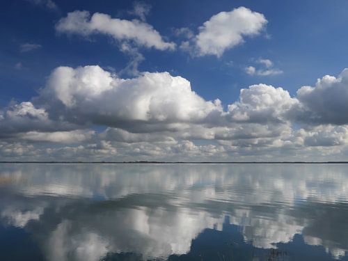 Saaler Bodden bei Wustrow auf dem Darß 3