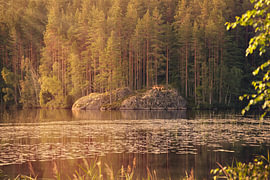 Lac de forêt suédois avec une île rocheuse, paysage naturel baigné de la lumière automnale sur Martin Köbsch