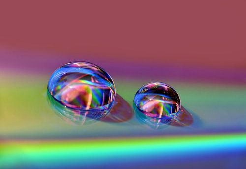 Oasis(Colorful Drops)