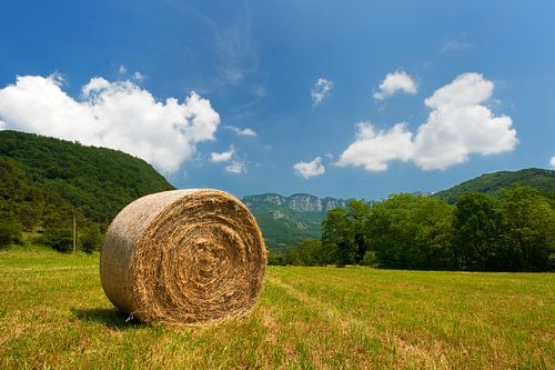 Round straw bales