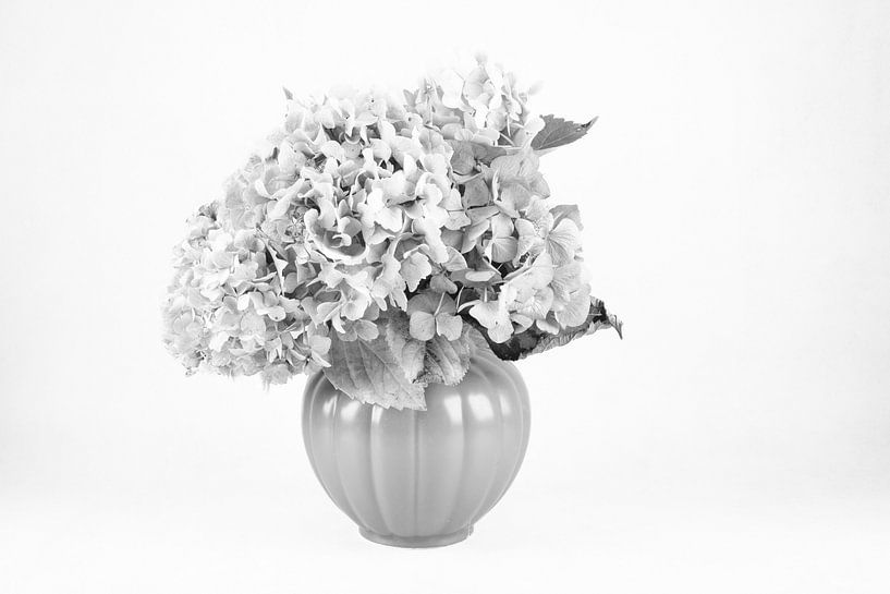 Hortensia dans un vase par Joke Beers-Blom