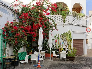 Cosy corner with bougainvillea in Arrecife - Lanzarote by Gisela Scheffbuch