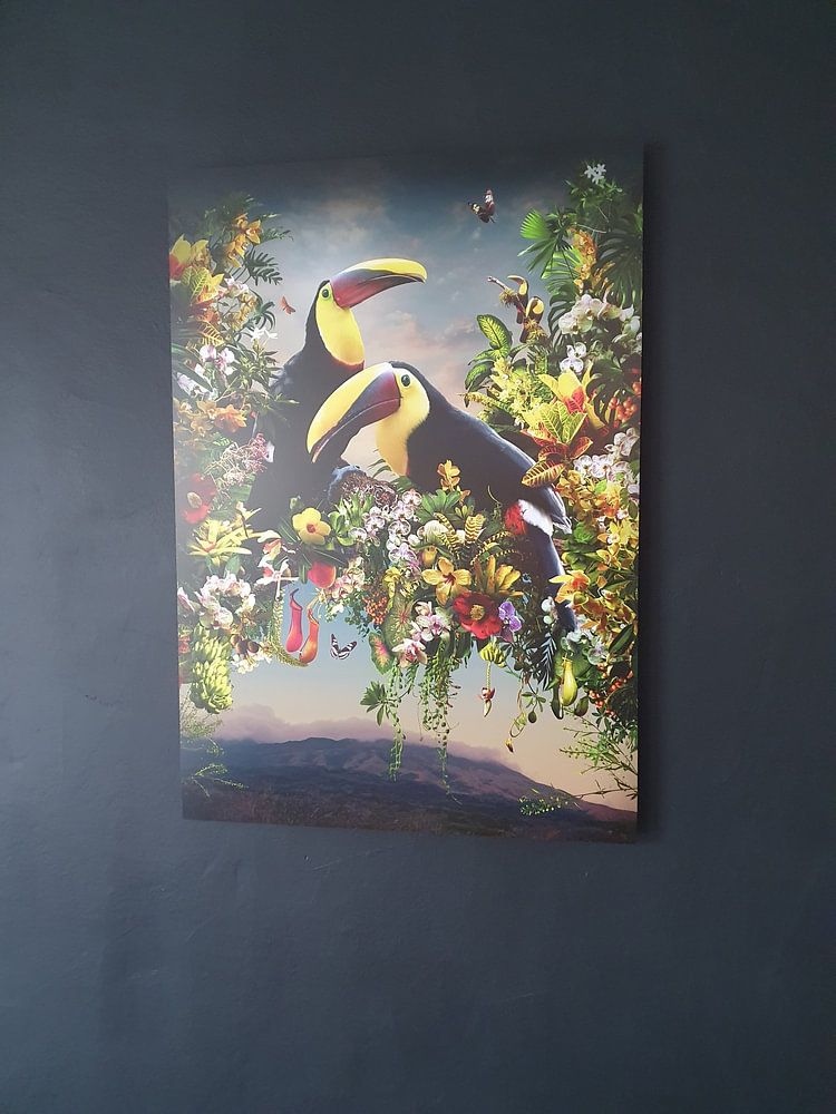 Among Angels  van Jesper Krijgsman 