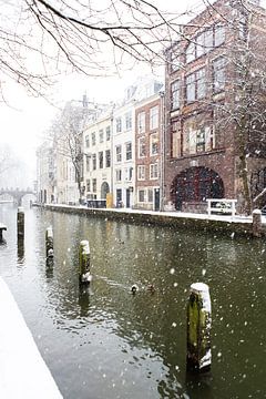 Winter in Utrecht. Besneeuwde dukdalven in de Oudegracht.